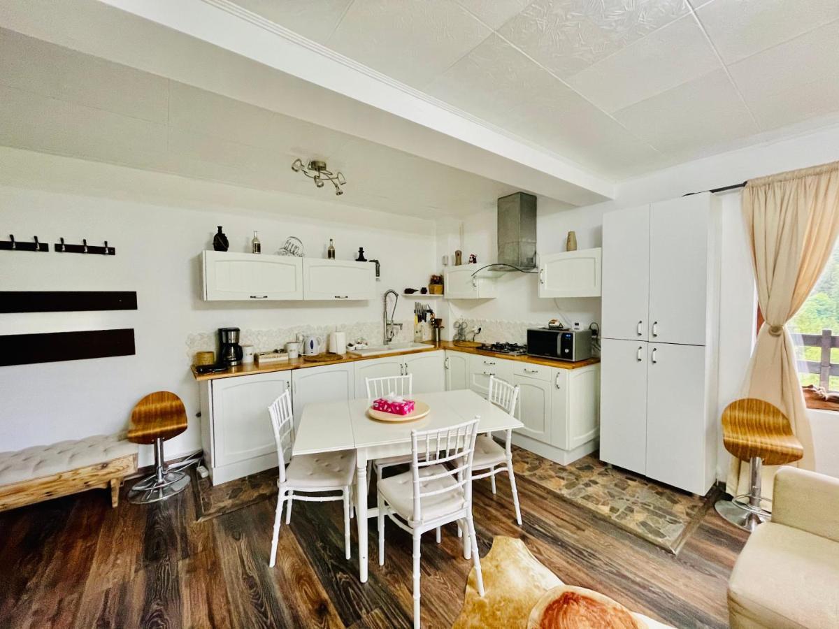 Delux Apartment Predeal Bagian luar foto