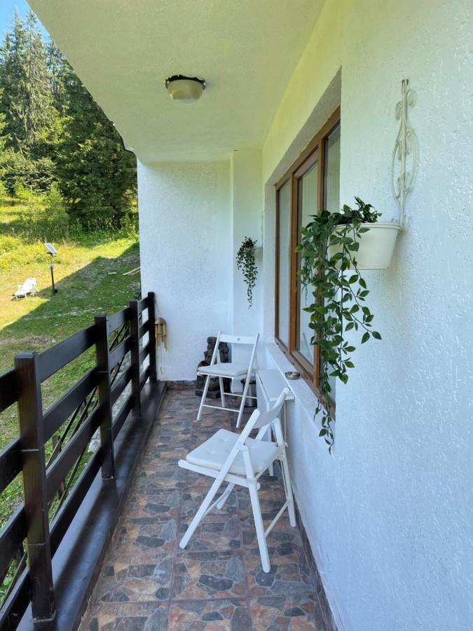 Delux Apartment Predeal Bagian luar foto