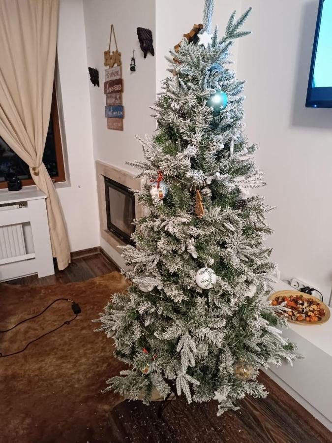 Delux Apartment Predeal Bagian luar foto